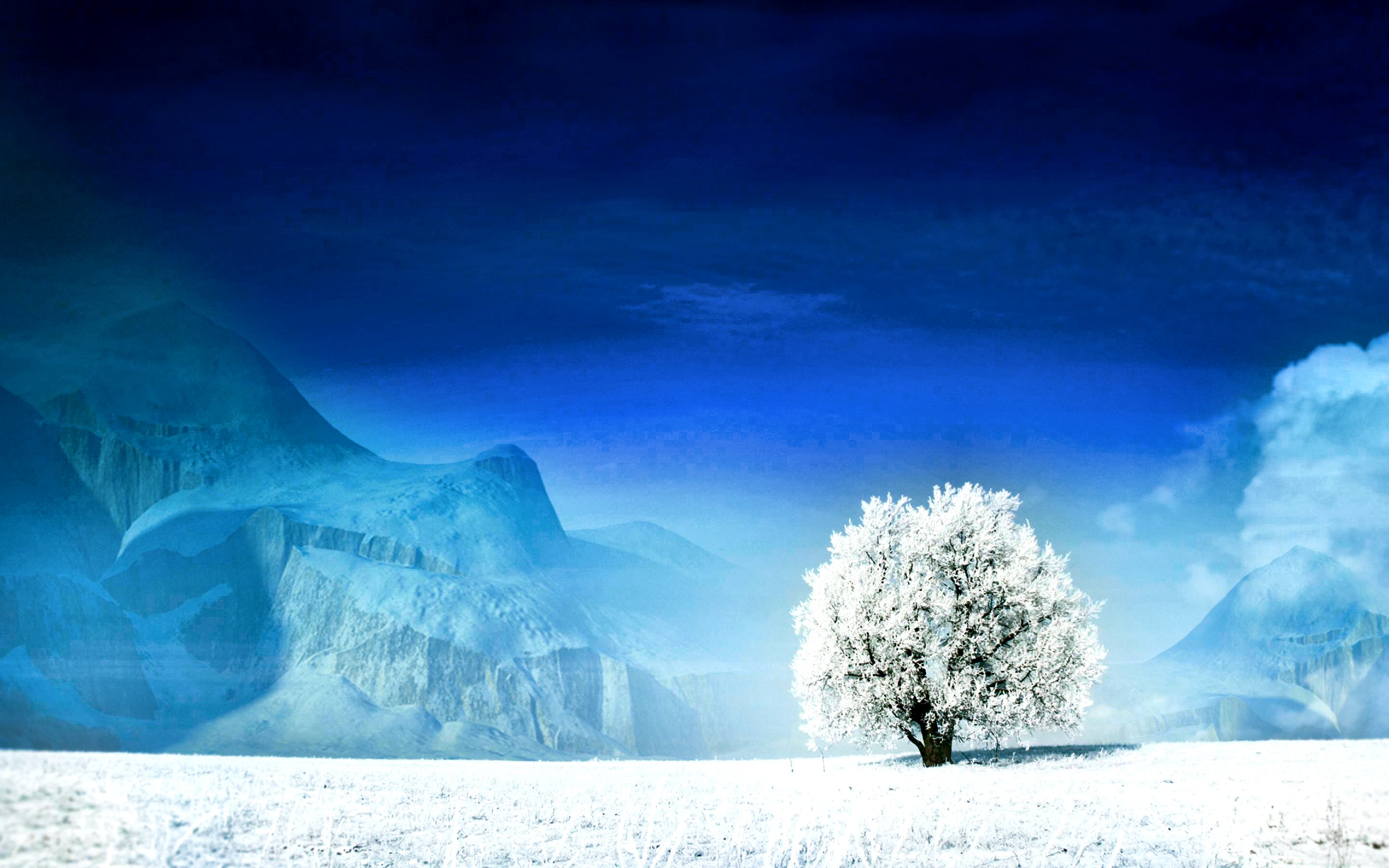 星空体育官网信誉好-滑雪公开赛青少年组刷新多个最佳成绩，全国青少年夏季滑雪挑战赛直播