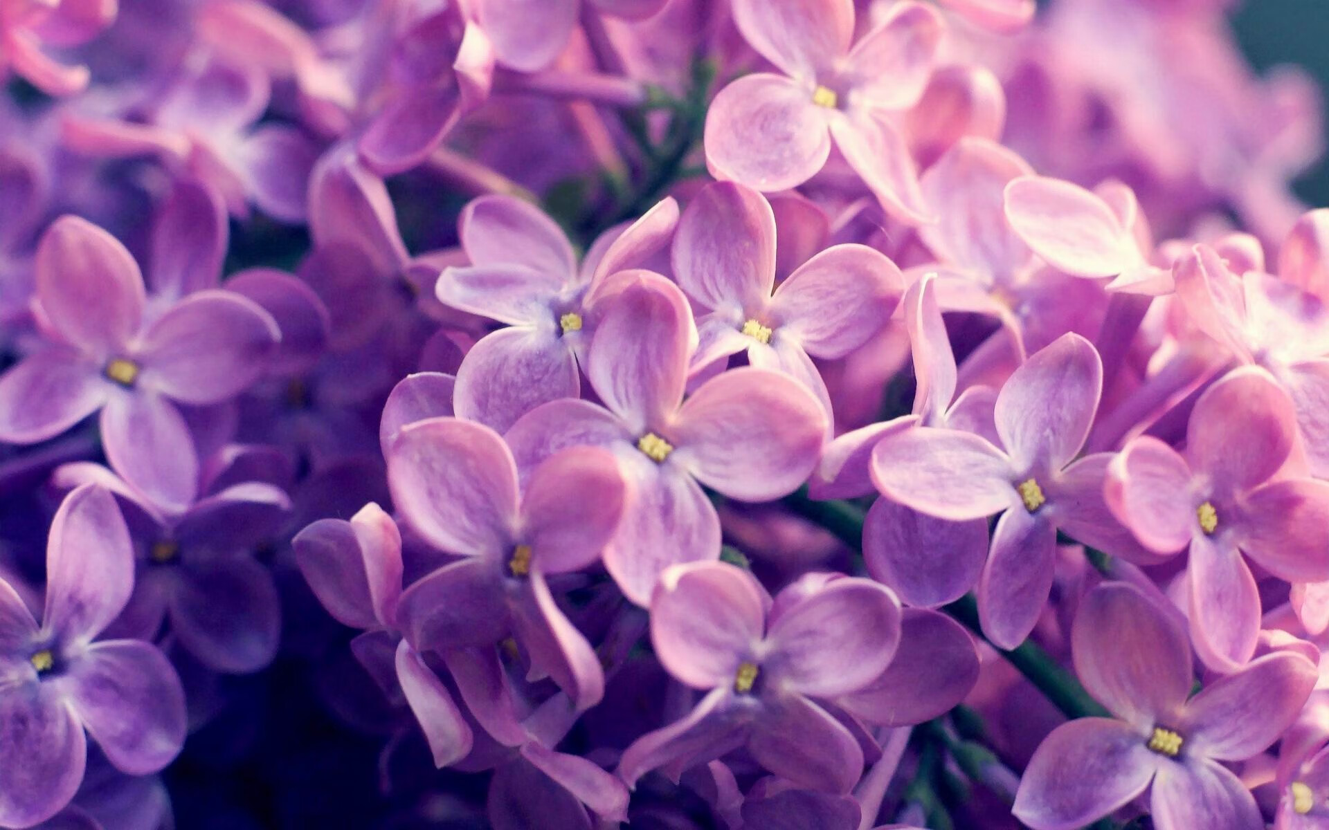 星空体育入口-朝鲜水球攻防转换迅速,朝鲜 球场