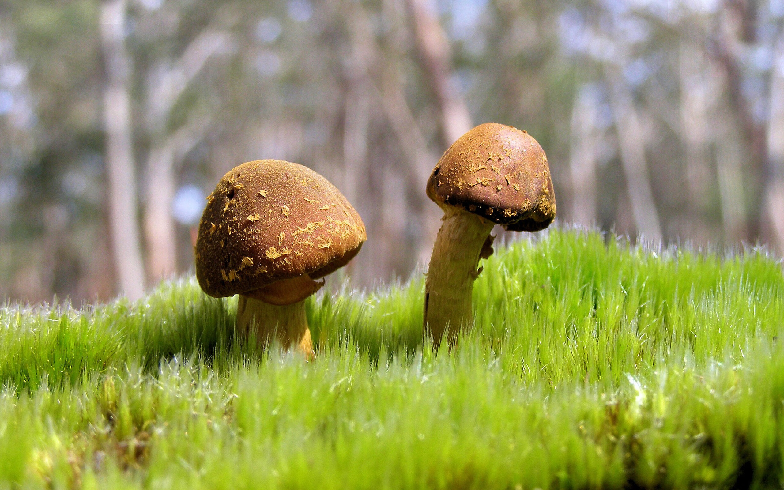 星空体育网站安全-美国队决赛发挥稳定成赛场焦点，美国队比赛结果