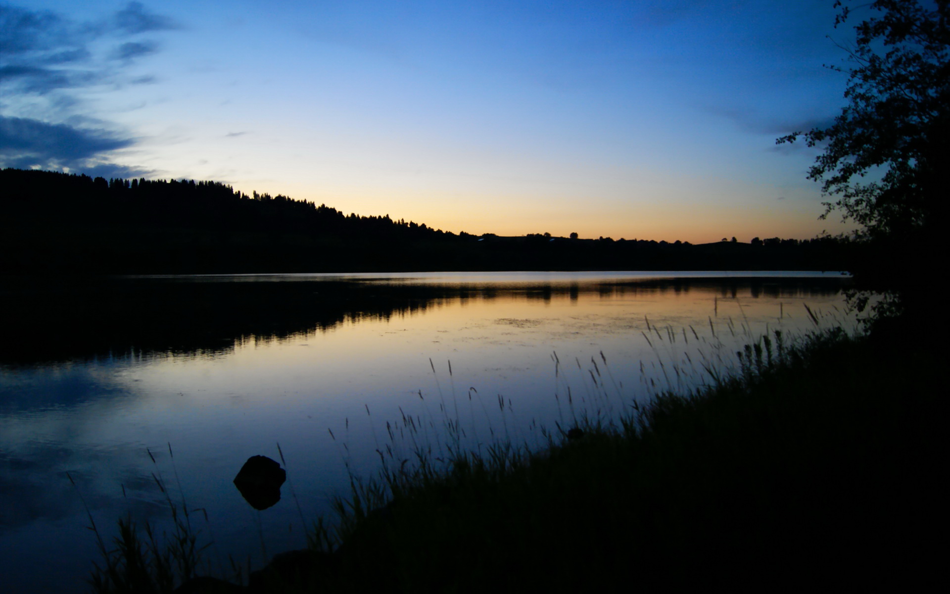 星空体育app官方下载-马拉松赛道优化方案通过专家评审,马拉松赛道建设标准